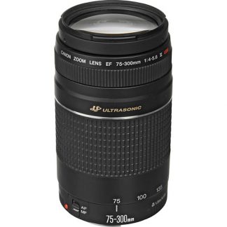 Canon EF 75-300mm F/4-5.6 III USM - Lens, Photography, SLR Lens